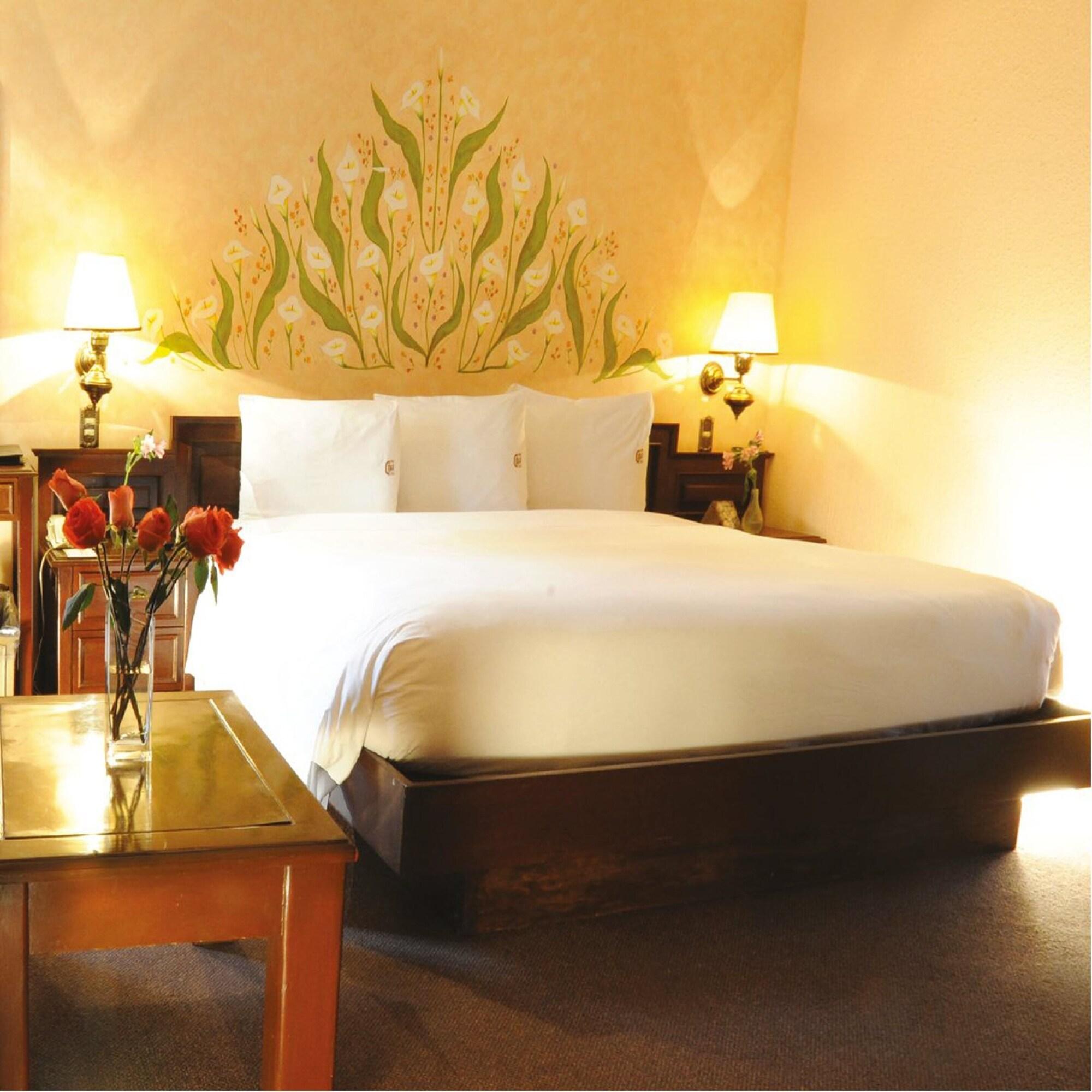 Hotel Park Villa Città del Messico Esterno foto